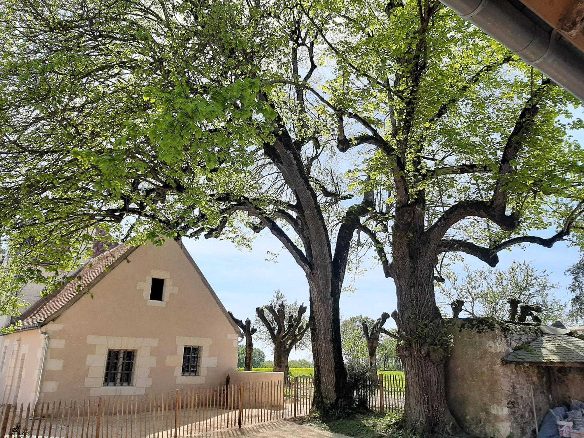 Le Puits Renaissance - Gites De Caractere Et Piscine Chauffee Chambourg-sur-Indre Exteriör bild